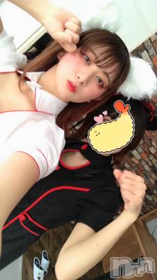 ʥå륺СաɥСӥ٥˥塼 Nachi95̥֥֥ʡ