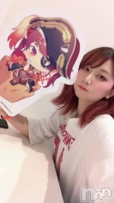ʥå륺СաɥСӥ٥˥塼 Nachi916̥֥()䤷۶
