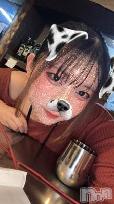 ʥå륺С륺С ӥ٥˥塼(륺Сӥ٥˥塼) Nachi113̥֥🫶