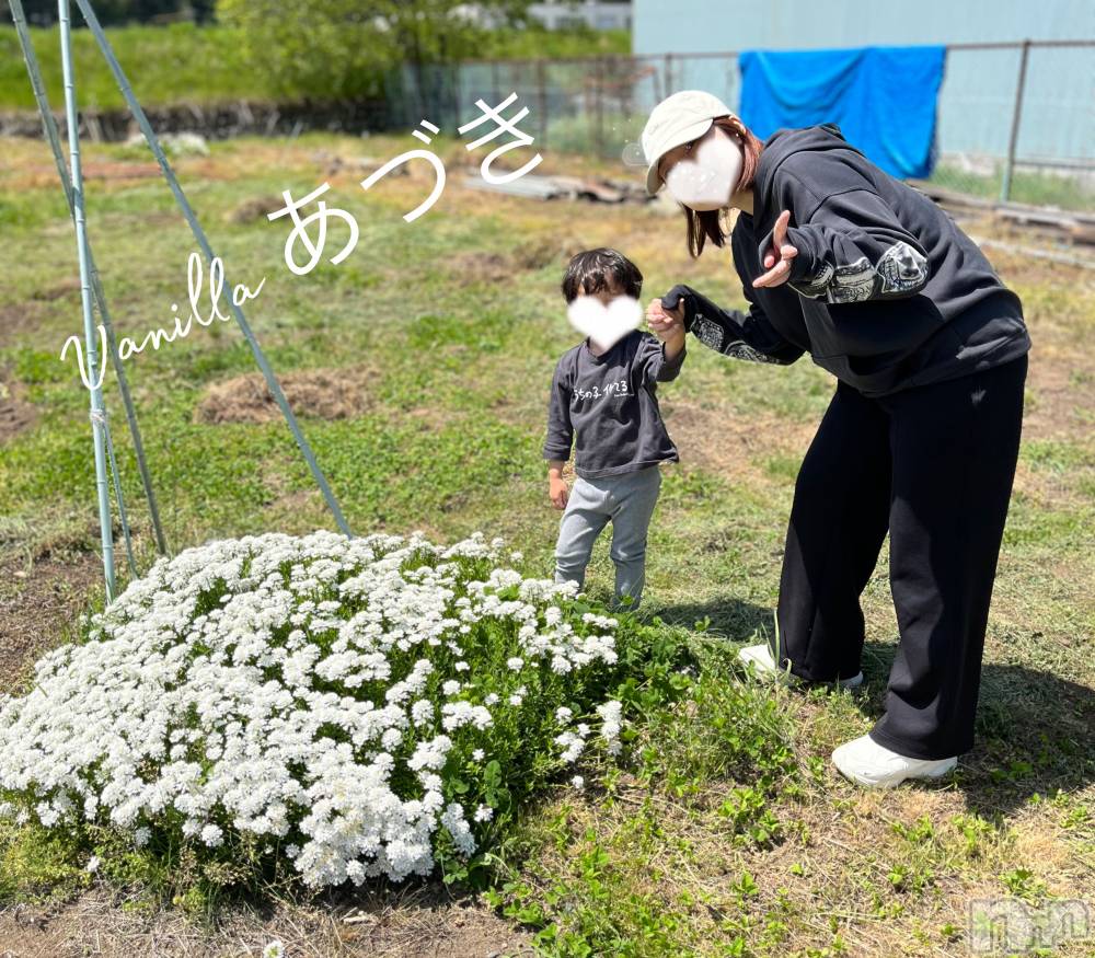 松本発デリヘルVANILLA(バニラ) あづき(41)の5月28日写メブログ「1日遅れの花束…」