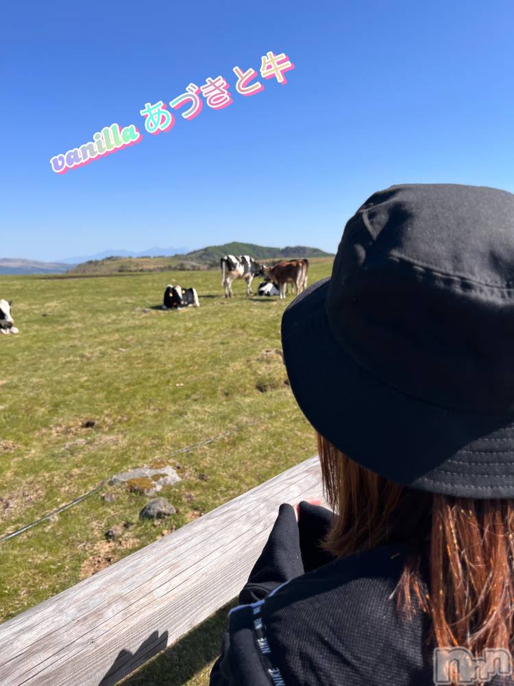 松本発デリヘルVANILLA(バニラ) あづき(41)の6月5日写メブログ「牛を求めて🐃🐂🐄♥️」