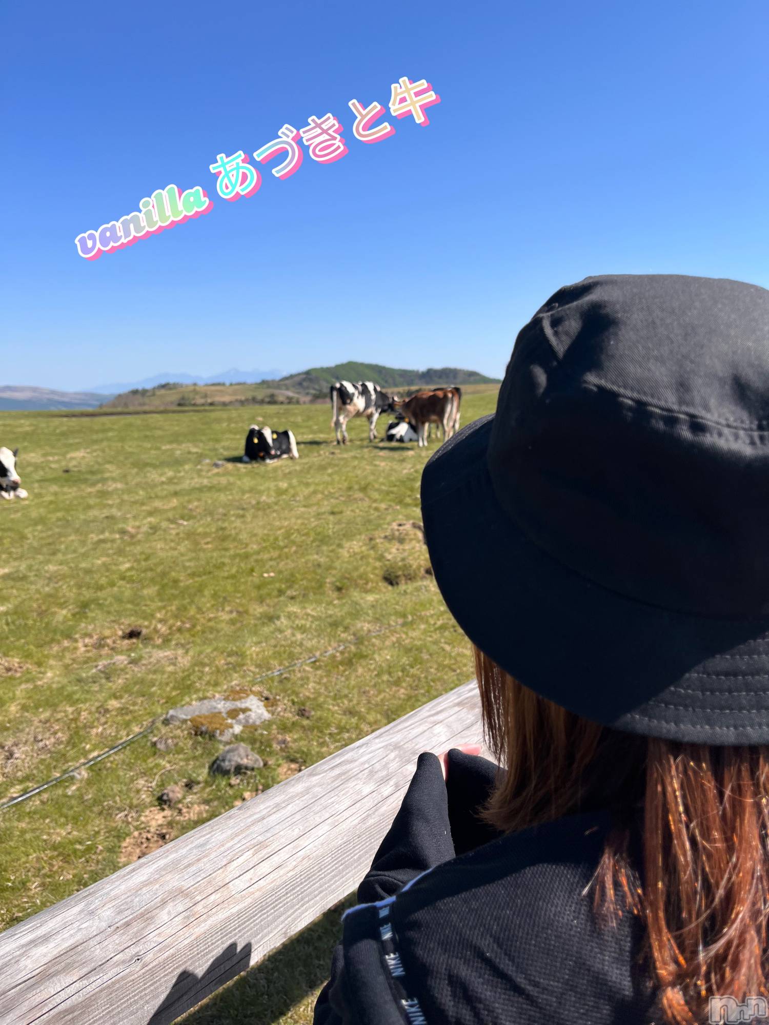 松本発デリヘルVANILLA(バニラ)あづき(41)の2025年6月5日写メブログ「牛を求めて🐃🐂🐄♥️」
