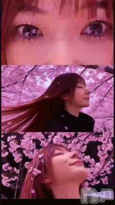 松本発デリヘル VANILLA(バニラ) あづき(41)の4月9日動画「桜散りそう…」