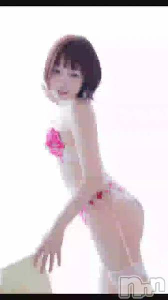 今日は…