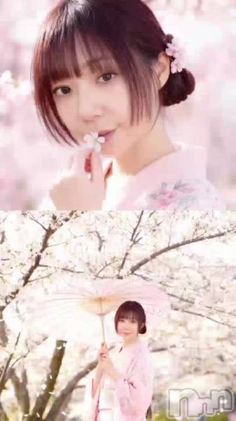 サクラキミワタシ