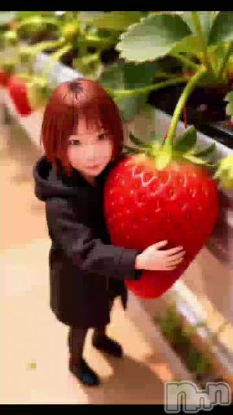 いちご🍓の季節ですね🍓