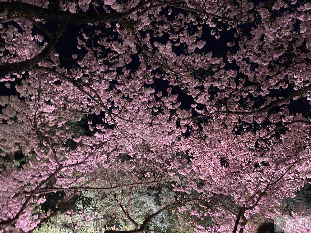 ��ˬ����Х��顦�����CLUB K����Prologue��(����֥���) �դ��Ф�4��13���̥�֥����ֺ�🌸��