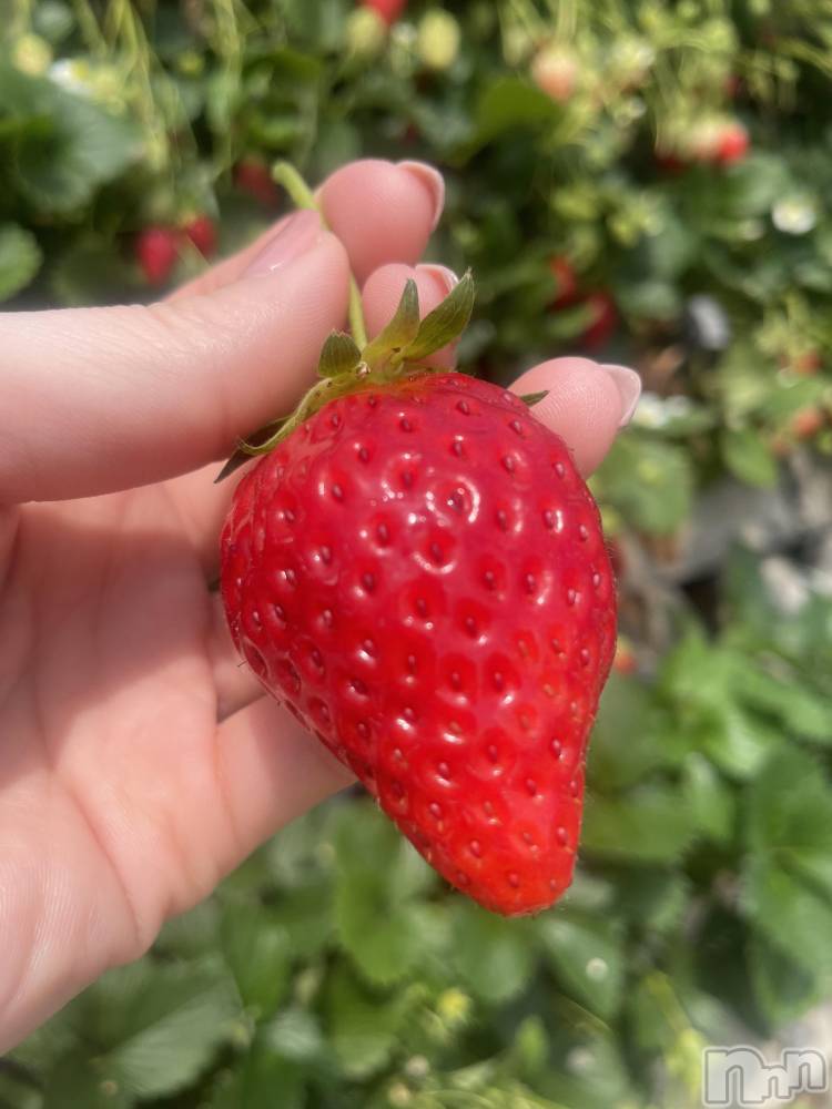 ��ˬ����Х��顦�����CLUB K����Prologue��(����֥���) �դ��Ф�5��1���̥�֥���������ޤ���✨��