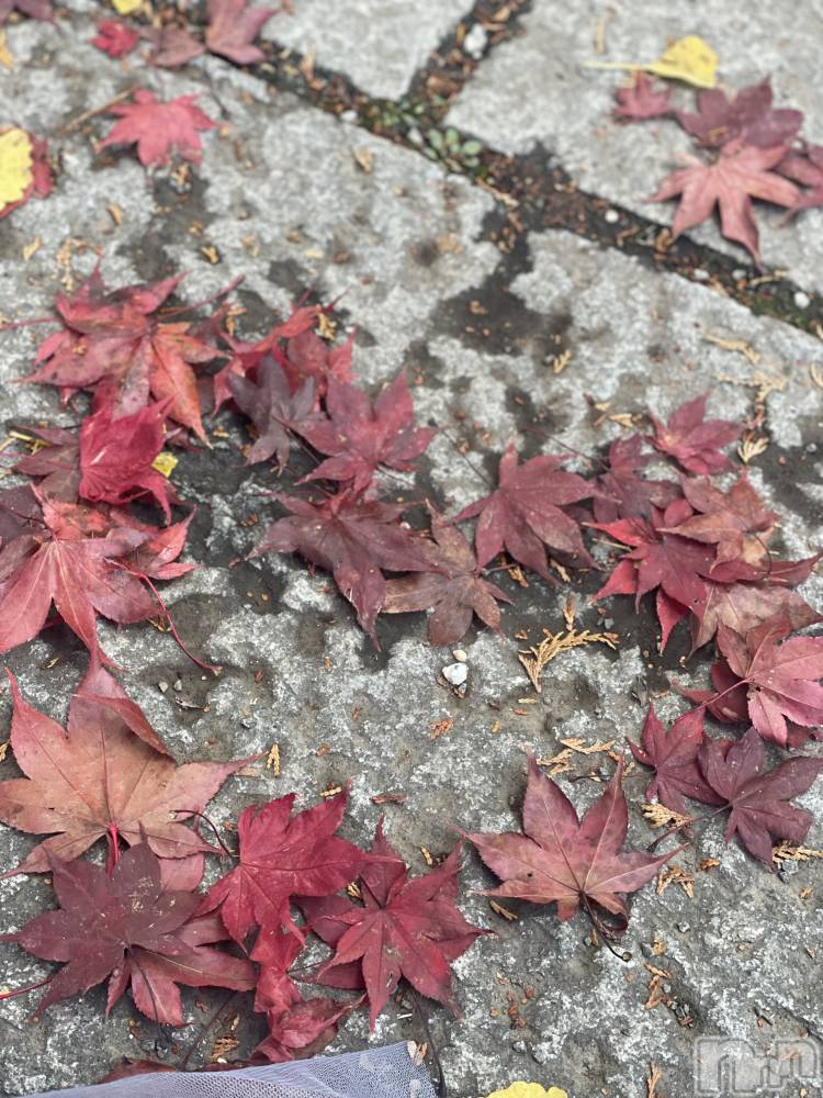 ��ˬ����Х��顦�����CLUB K����Prologue��(����֥���) �դ��Ф�11��25���̥�֥��������������