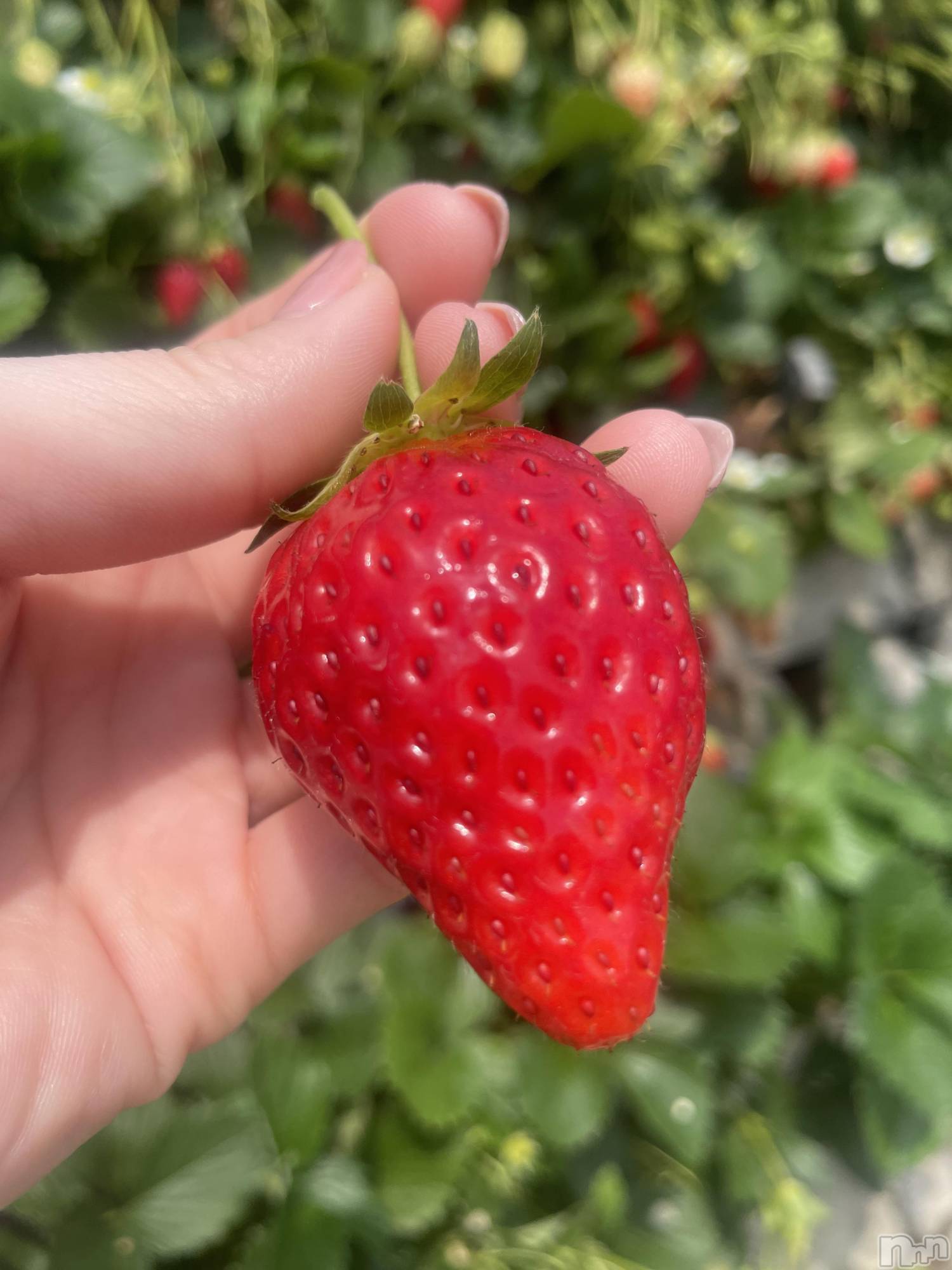 ��ˬ����Х��顦�����CLUB K����Prologue��(����֥���) ��2024ǯ5��1���̥�֥���������ޤ���✨��