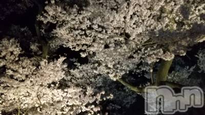 ��ˬ����Х��顦�����CLUB K����Prologue��(����֥���) �դ��Ф�3��31���̥�֥������Ԥ��󤷤�🌸��