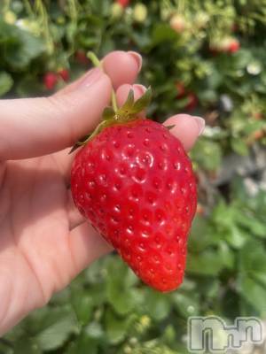 ��ˬ����Х��顦�����CLUB K����Prologue��(����֥���) �դ��Ф�5��1���̥�֥���������ޤ���✨��