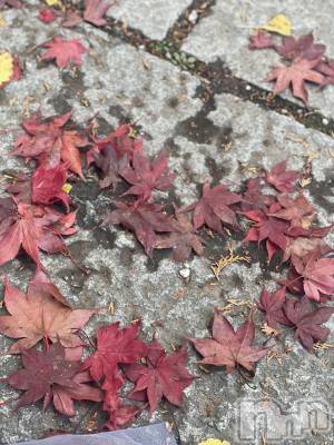 ��ˬ����Х��顦�����CLUB K����Prologue��(����֥���) �դ��Ф�11��25���̥�֥��������������