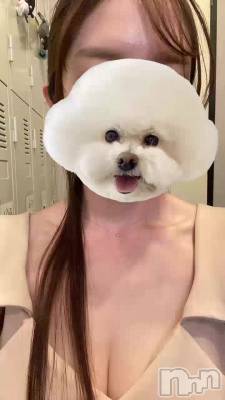 1��4�� 20��22ʬ�Υ֥���