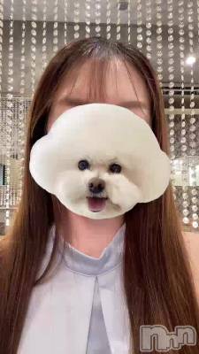 7��13�� 11��40ʬ�Υ֥���