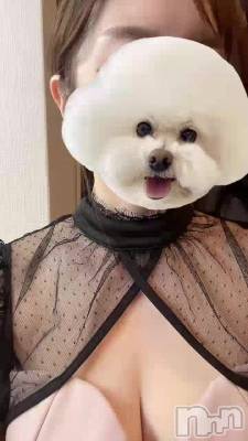 12��7�� 20��57ʬ�Υ֥���