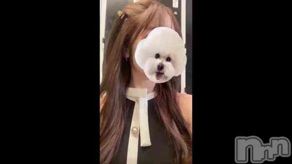 �֤�����������