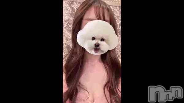 �ֻ�Ϣ�١���