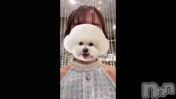 �ֵס����åץإ�����