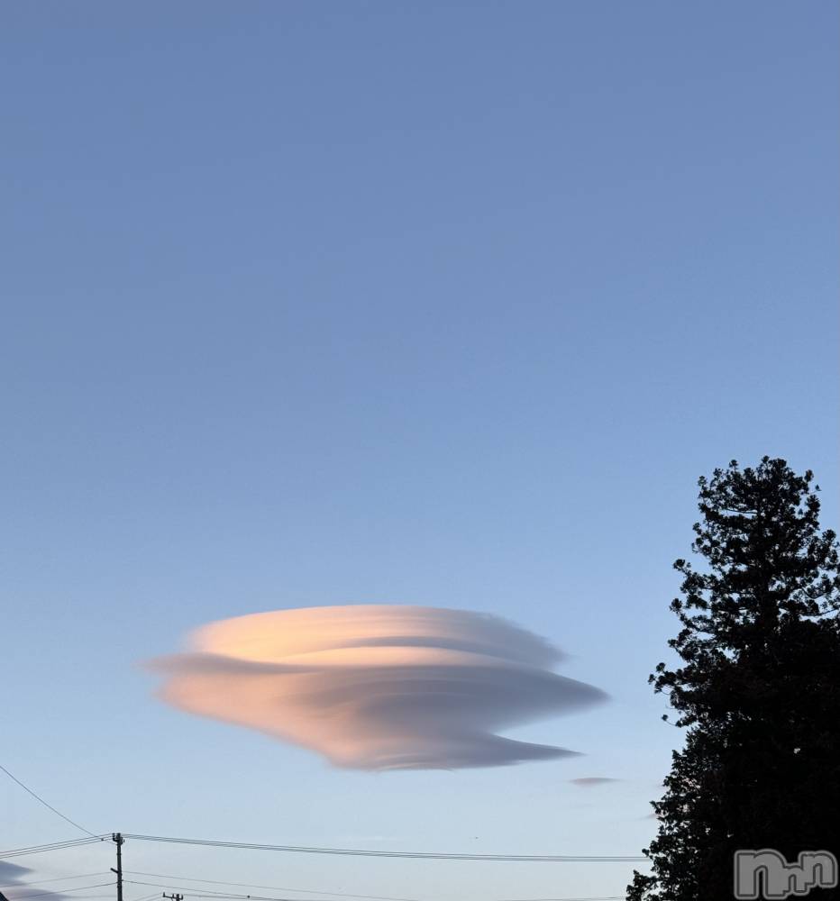 ��ˬ����Х��顦����֥���� �ץ���� ��ˬ(����� �ץ���� ����) �¼ �����4��5���̥�֥�����💭⸒⸒��