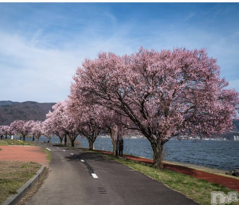 ��ˬ����Х��顦����֥���� �ץ���� ��ˬ(����� �ץ���� ����) �¼ �����4��16���̥�֥�����🌸🚶‍��️��