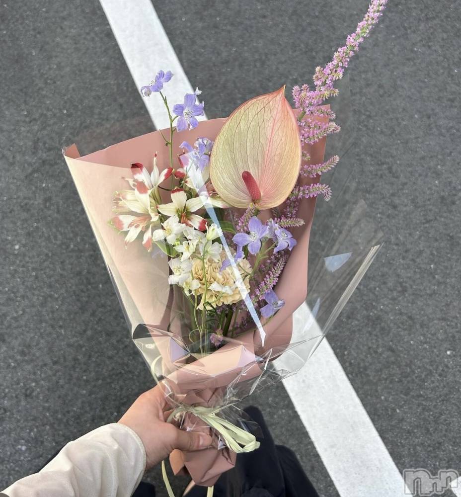 ��ˬ����Х��顦����֥���� �ץ���� ��ˬ(����� �ץ���� ����) �¼ �����5��15���̥�֥�����💐🤍��