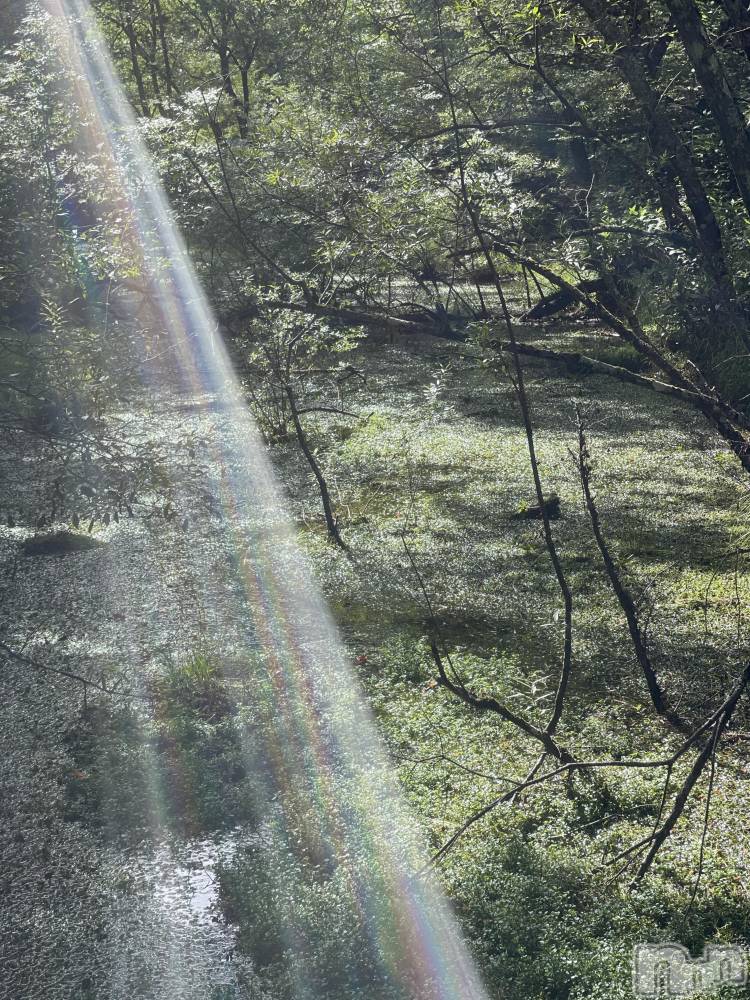 ��ˬ����Х��顦����֥���� �ץ���� ��ˬ(����� �ץ���� ����) �¼ �����6��8���̥�֥�����🌈ᵕ̈*��