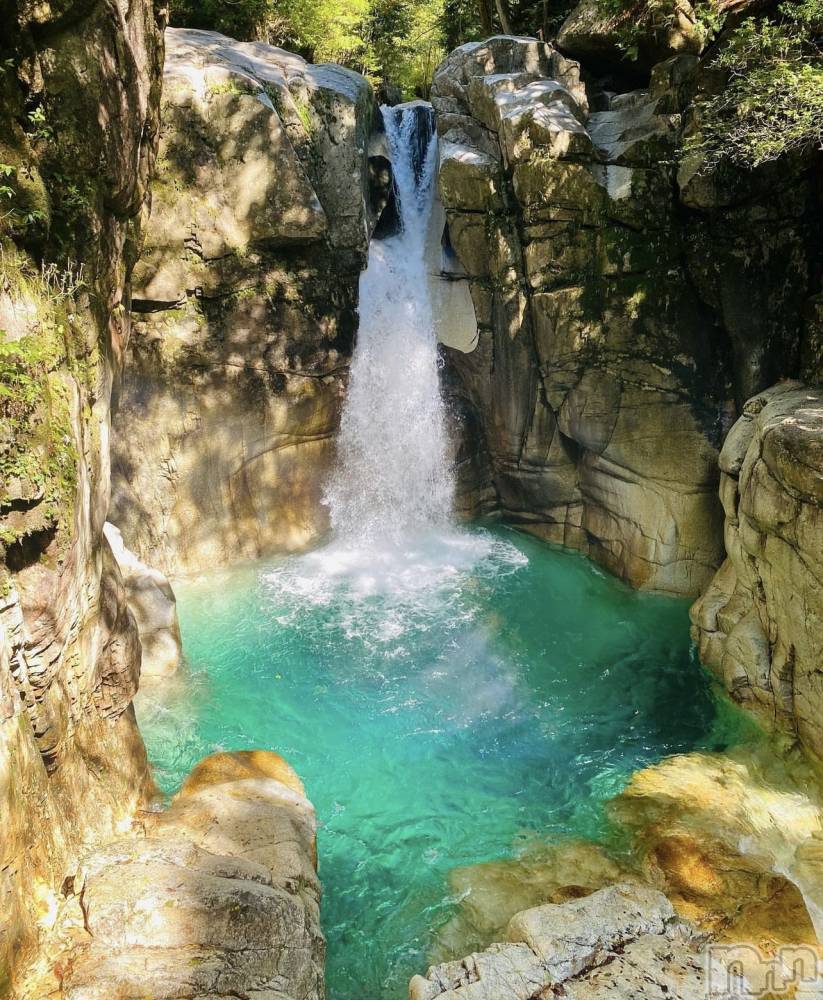 ��ˬ����Х��顦����֥���� �ץ���� ��ˬ(����� �ץ���� ����) �¼ �����6��13���̥�֥�����🌳��