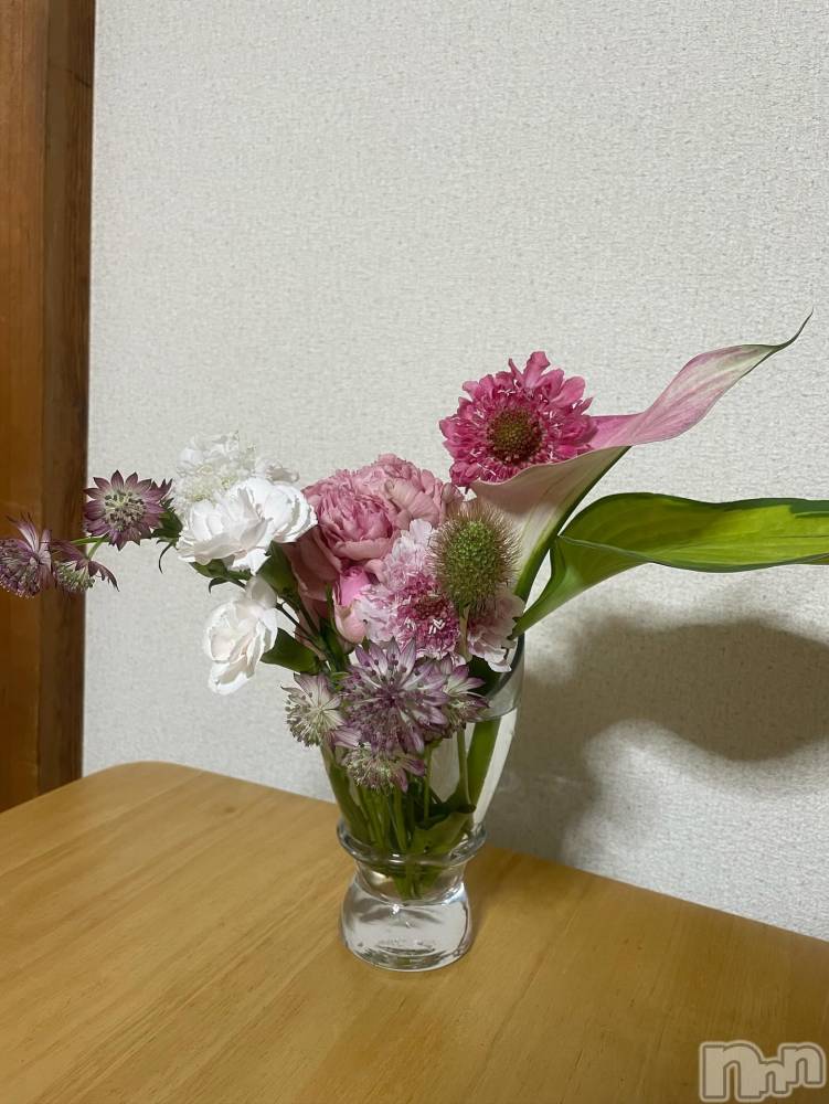 ��ˬ����Х��顦����֥���� �ץ���� ��ˬ(����� �ץ���� ����) �¼ �����6��12���̥�֥�����🌸��