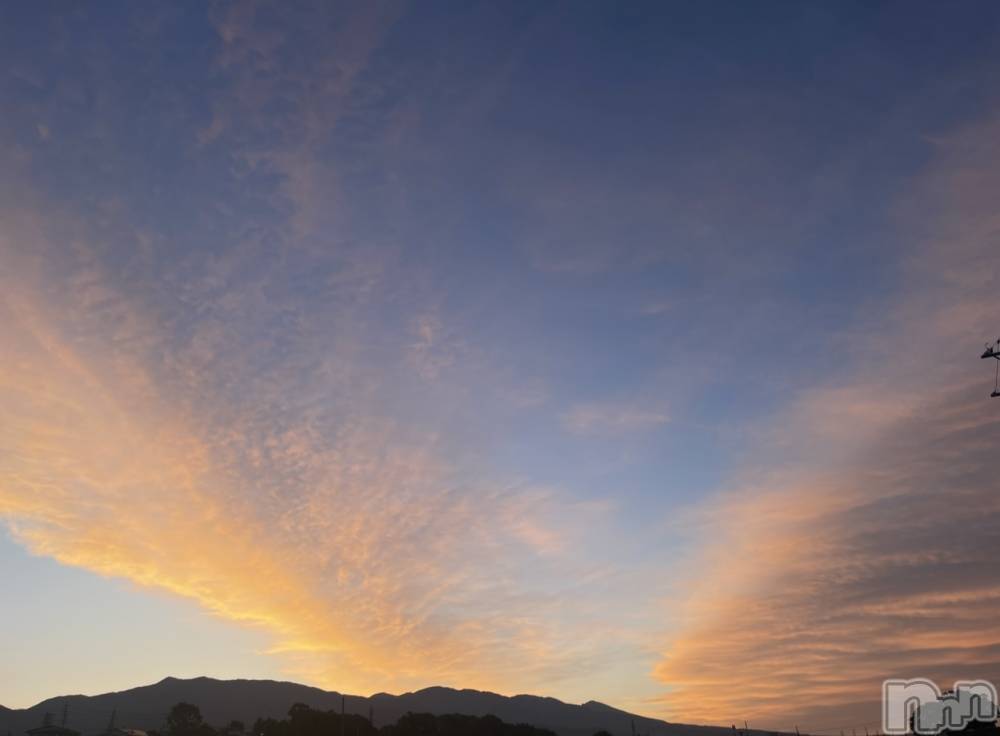 ��ˬ����Х��顦����֥���� �ץ���� ��ˬ(����� �ץ���� ����) �¼ �����6��19���̥�֥�����🌧��