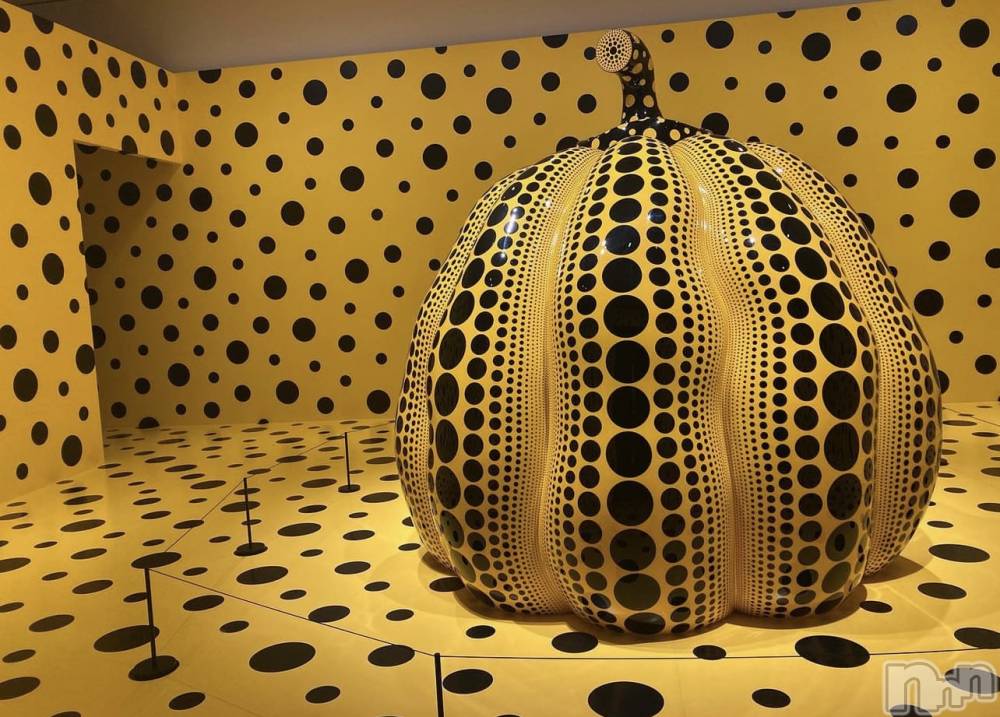 ��ˬ����Х��顦����֥���� �ץ���� ��ˬ(����� �ץ���� ����) �¼ �����6��27���̥�֥�����🎃͙��