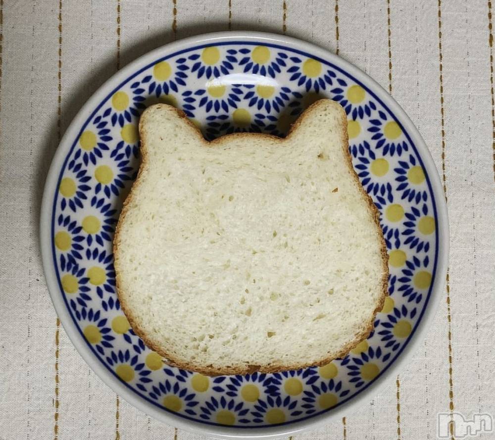 ��ˬ����Х��顦����֥���� �ץ���� ��ˬ(����� �ץ���� ����) �¼ �����6��28���̥�֥�����🐱��