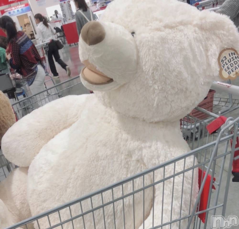 ��ˬ����Х��顦����֥���� �ץ���� ��ˬ(����� �ץ���� ����) �¼ �����7��2���̥�֥�����🧸��