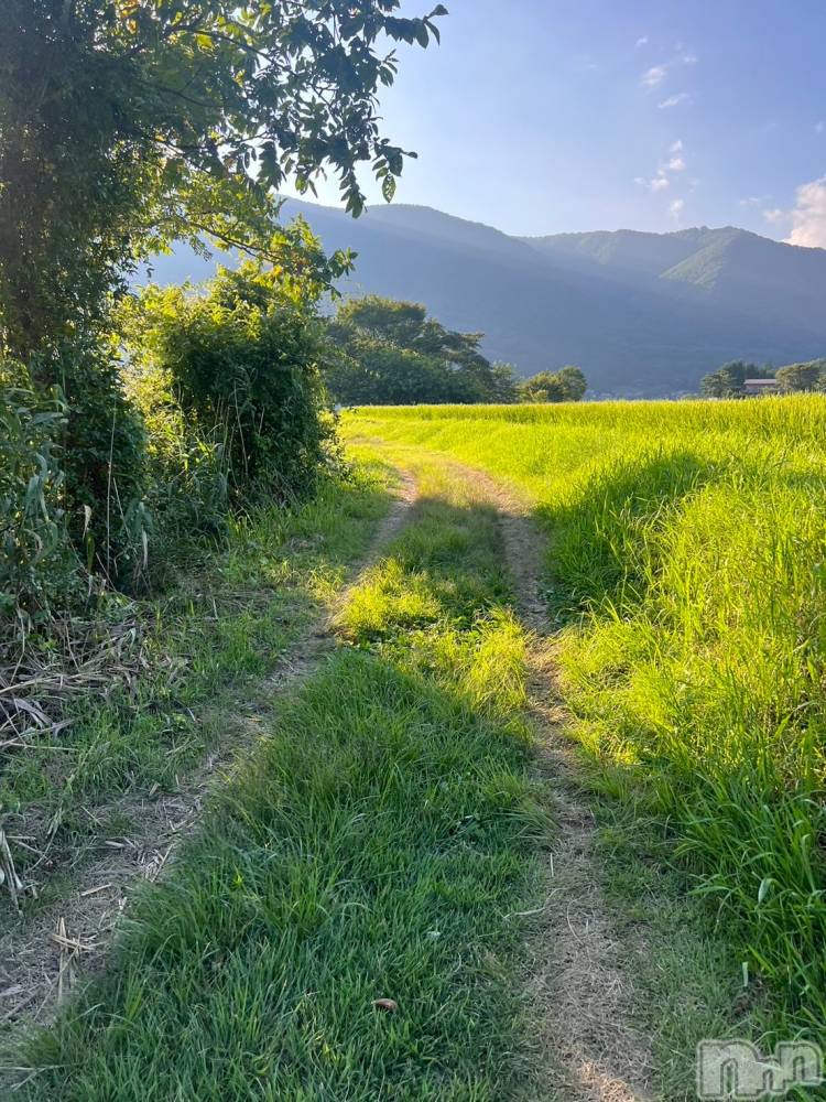 ��ˬ����Х��顦����֥���� �ץ���� ��ˬ(����� �ץ���� ����) �¼ �����8��13���̥�֥�����🌿,,��