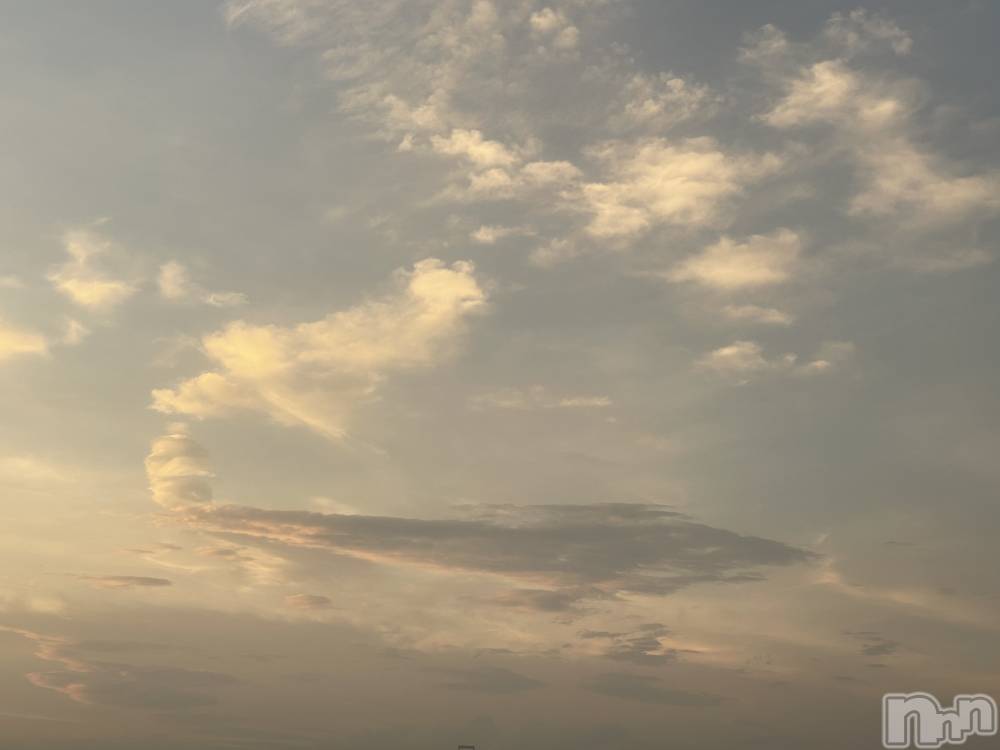 ��ˬ����Х��顦����֥���� �ץ���� ��ˬ(����� �ץ���� ����) �¼ �����9��25���̥�֥�����👼��