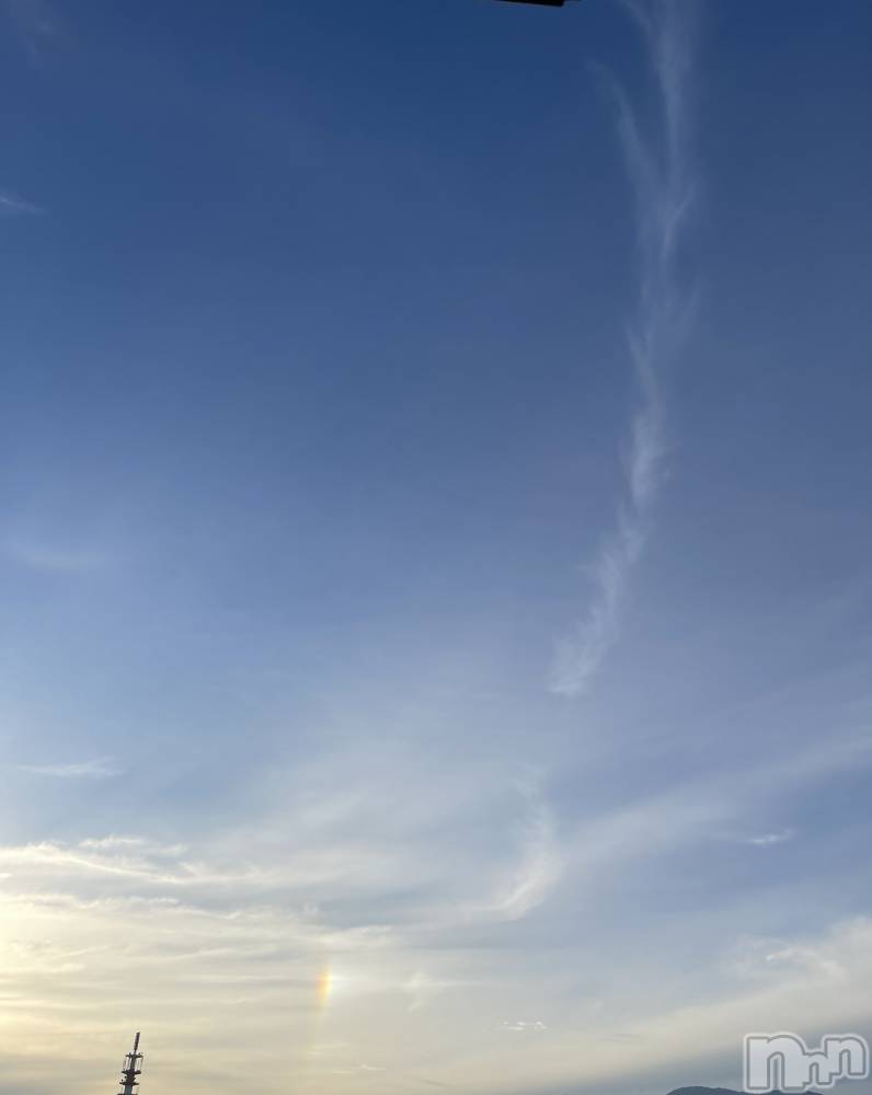 ��ˬ����Х��顦����֥���� �ץ���� ��ˬ(����� �ץ���� ����) �¼ �����11��2���̥�֥�����🌈��