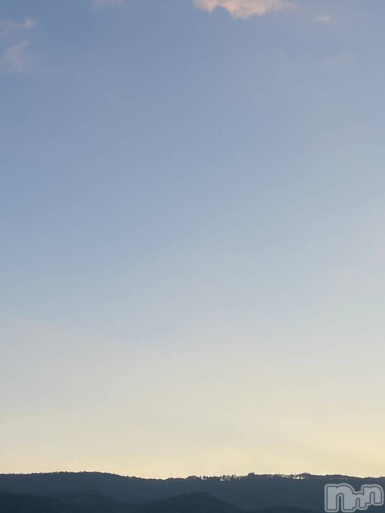 ��ˬ����Х��顦����֥���� �ץ���� ��ˬ(����� �ץ���� ����) �¼ �����11��7���̥�֥�����🕊��