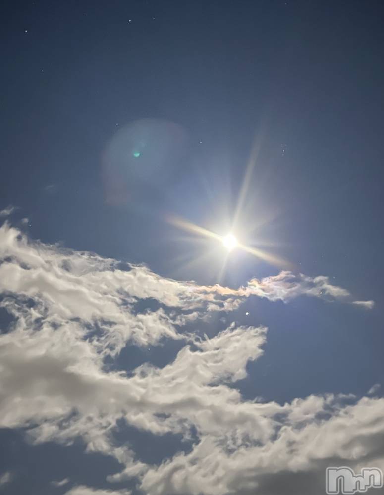 ��ˬ����Х��顦����֥���� �ץ���� ��ˬ(����� �ץ���� ����) �¼ �����12��14���̥�֥�����🌙*�ߡ�