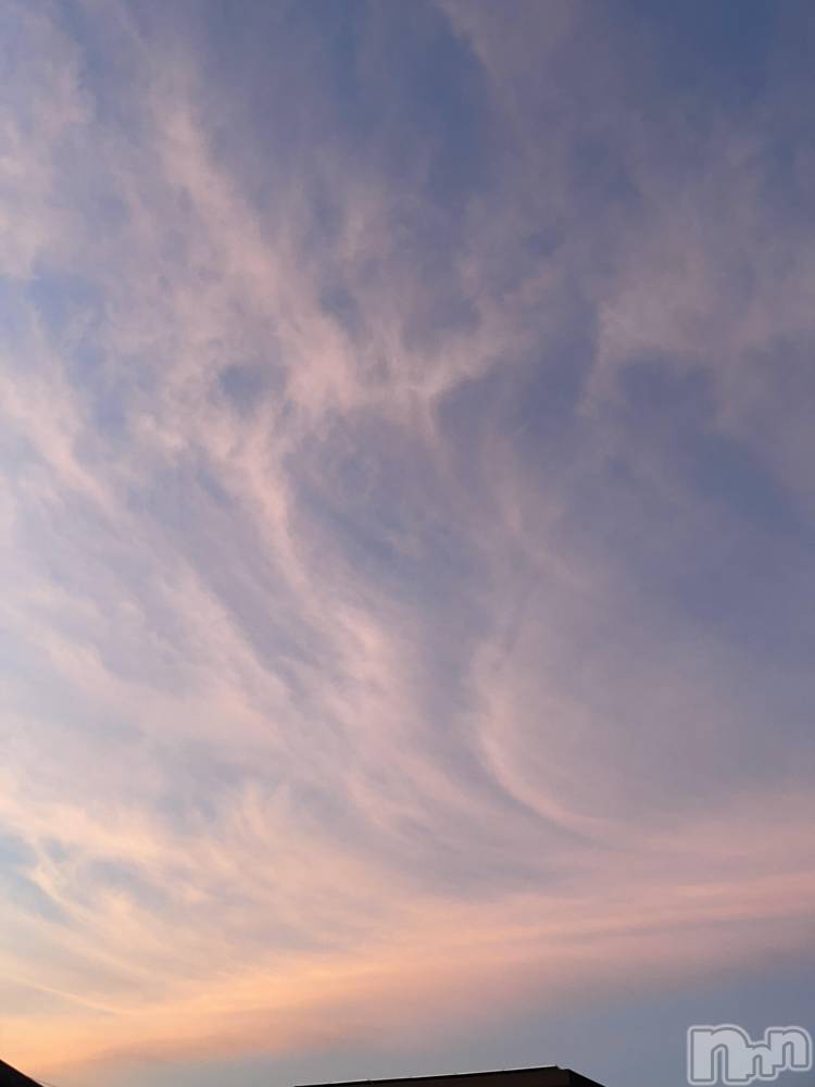 ��ˬ����Х��顦����֥���� �ץ���� ��ˬ(����� �ץ���� ����) �¼ �����12��20���̥�֥�����🐶��