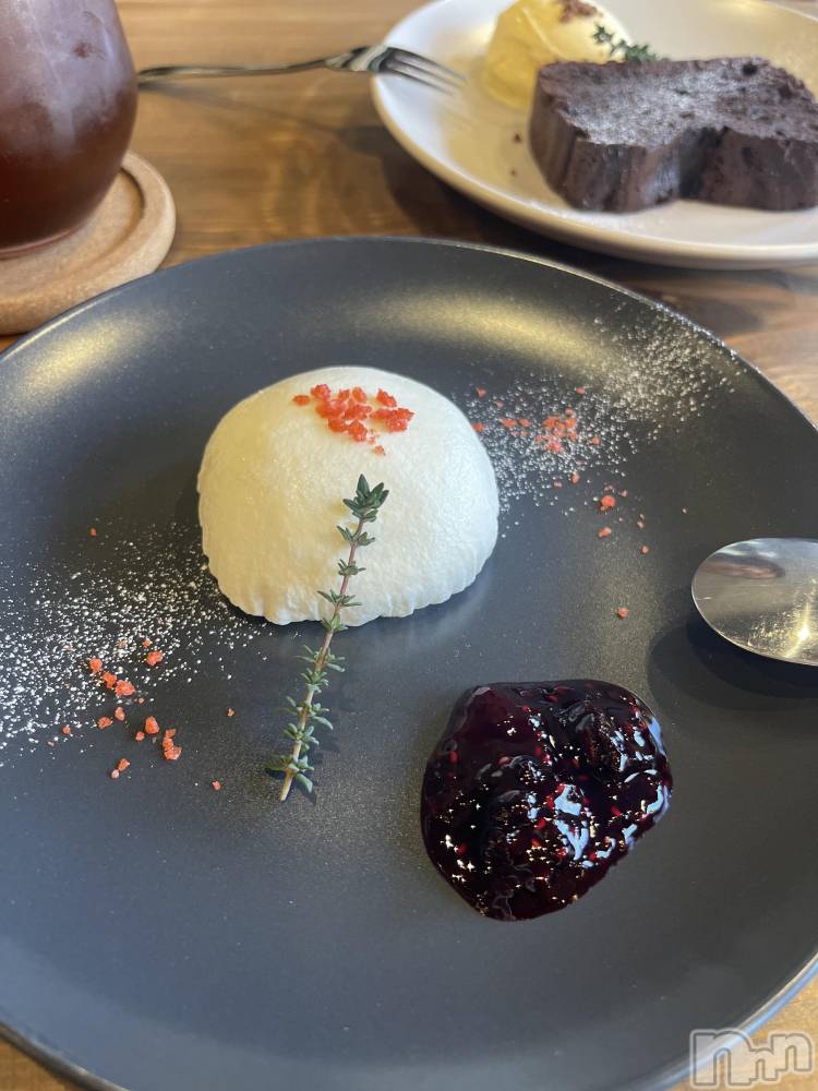 ��ˬ����Х��顦����֥���� �ץ���� ��ˬ(����� �ץ���� ����) �¼ �����1��28���̥�֥�����🐶��