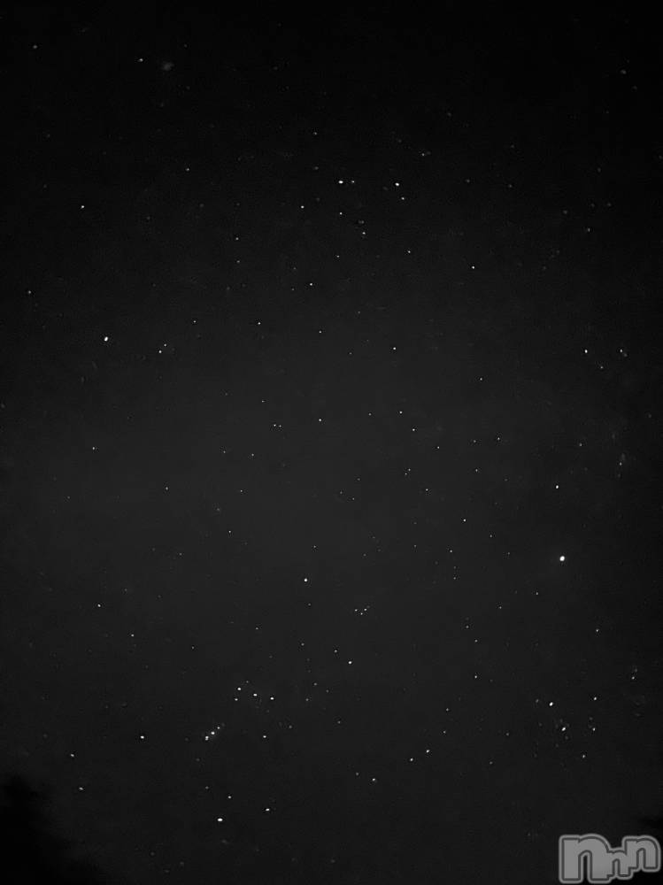 ��ˬ����Х��顦����֥���� �ץ���� ��ˬ(����� �ץ���� ����) �¼ �����2��19���̥�֥�����🫶��