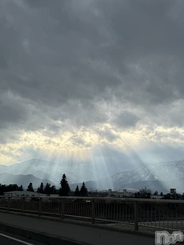 ��ˬ����Х��顦����֥���� �ץ���� ��ˬ(����� �ץ���� ����) �¼ �����3��7���̥�֥�����🤍��