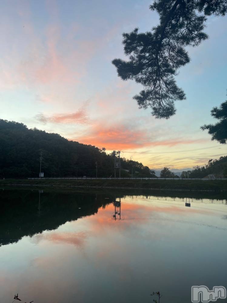 ��ˬ����Х��顦����֥���� �ץ���� ��ˬ(����� �ץ���� ����) �¼ �����3��6���̥�֥�����🤍��