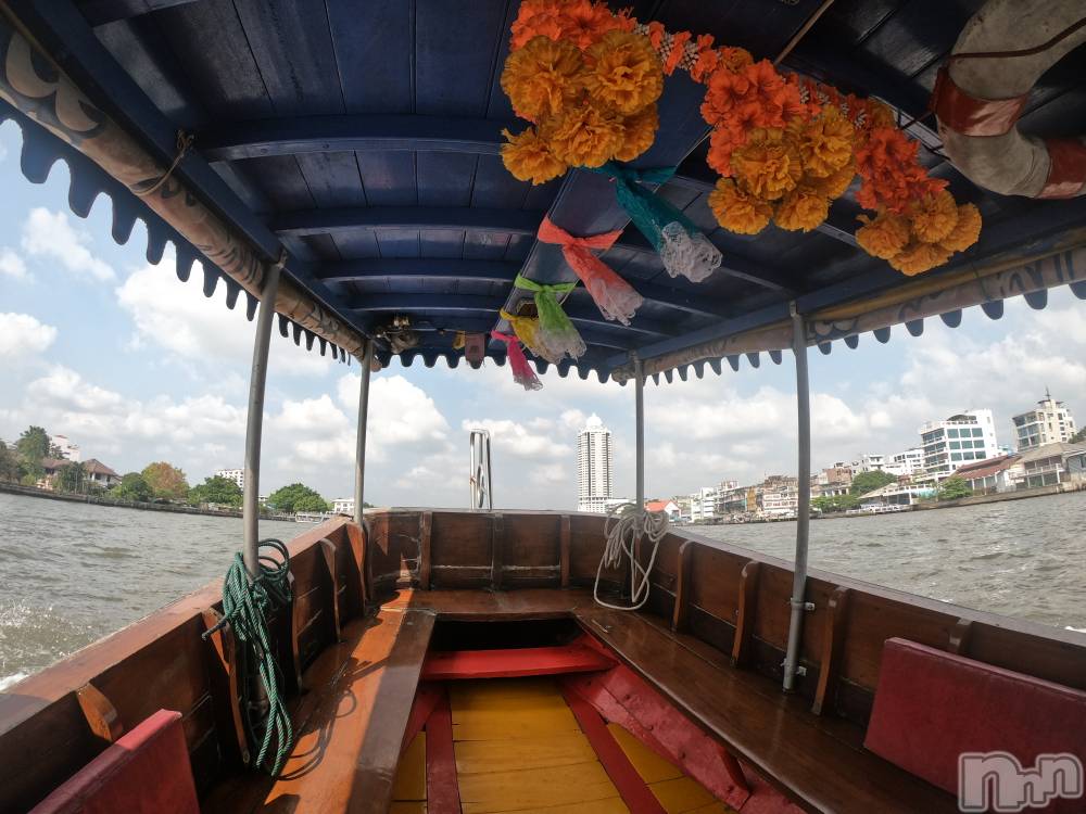 ��ˬ����Х��顦����֥���� �ץ���� ��ˬ(����� �ץ���� ����) �¼ �����4��5���̥�֥�����🤍��