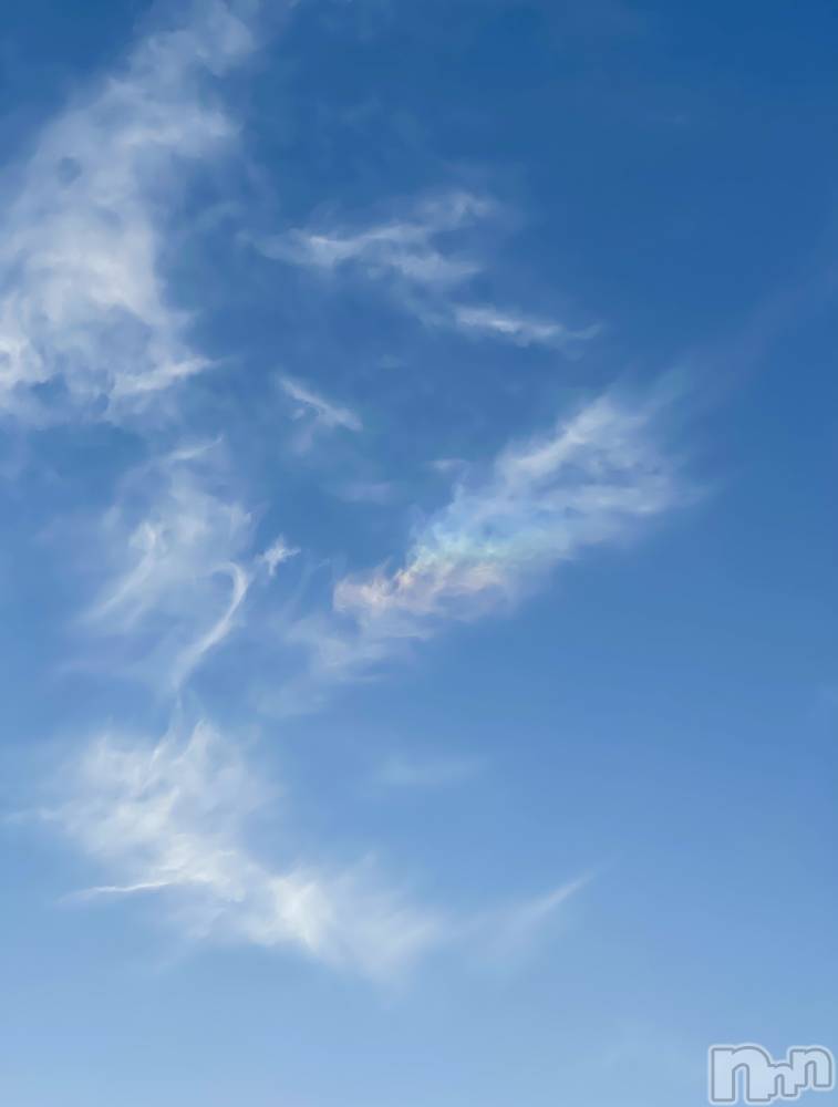 ��ˬ����Х��顦����֥���� �ץ���� ��ˬ(����� �ץ���� ����) �¼ �����4��11���̥�֥�����🤍��