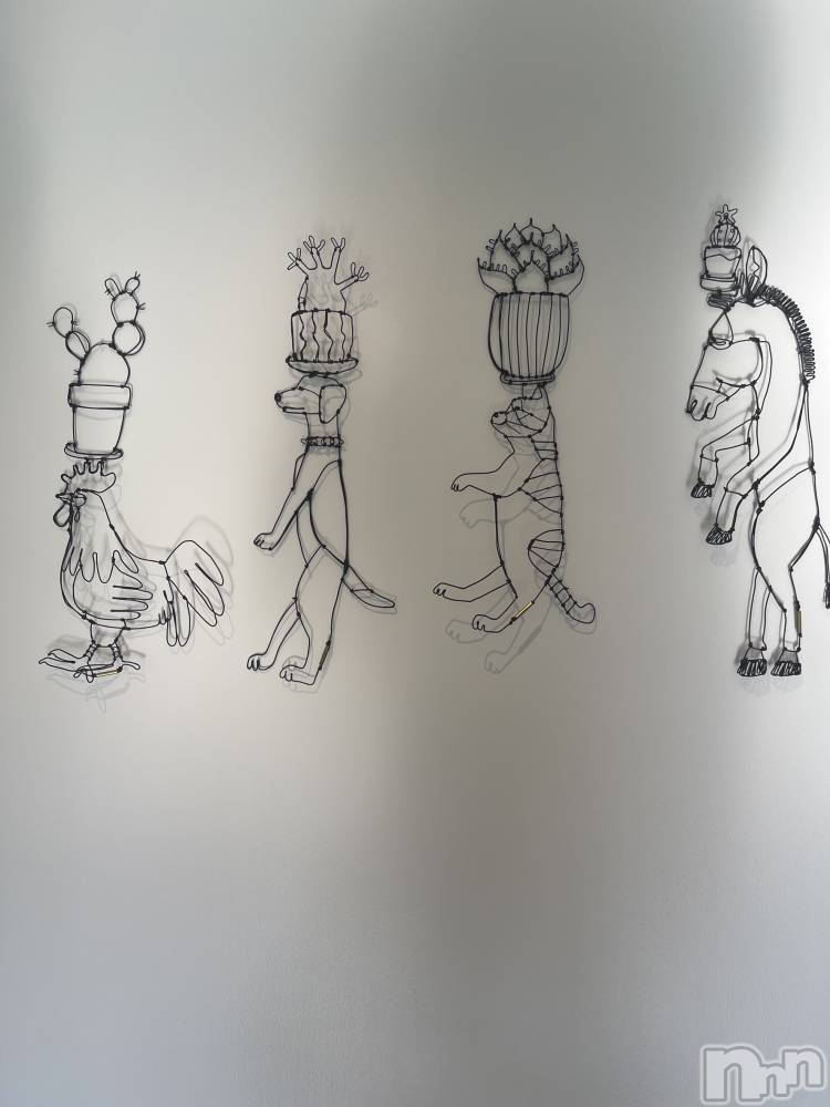 ��ˬ����Х��顦����֥���� �ץ���� ��ˬ(����� �ץ���� ����) �¼ �����4��25���̥�֥�����🤍��