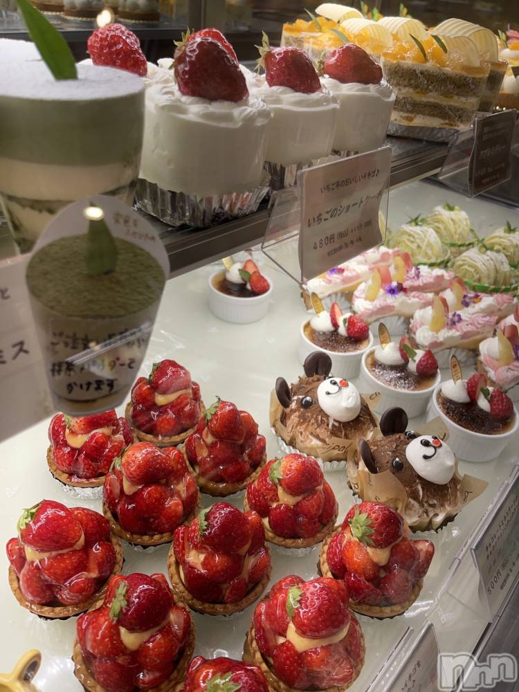 ��ˬ����Х��顦����֥���� �ץ���� ��ˬ(����� �ץ���� ����) �¼ �����4��28���̥�֥�����🤍��