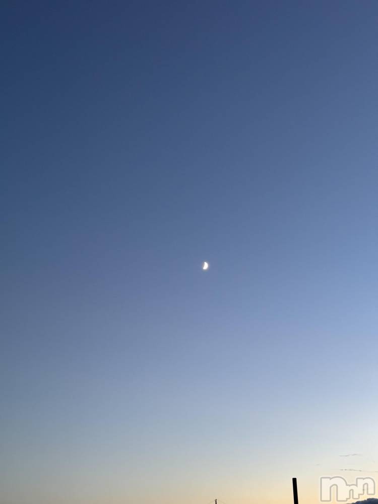 ��ˬ����Х��顦����֥���� �ץ���� ��ˬ(����� �ץ���� ����) �¼ �����5��27���̥�֥�����🤍��