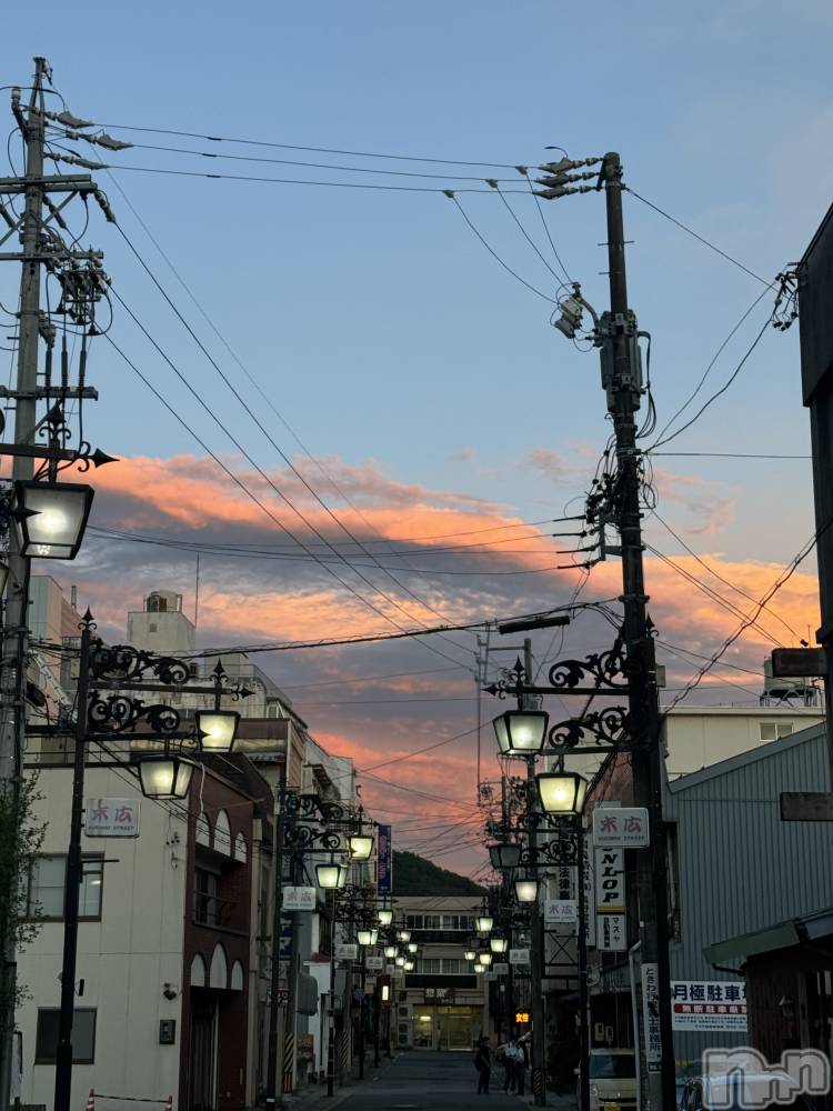 ��ˬ����Х��顦����֥���� �ץ���� ��ˬ(����� �ץ���� ����) �¼ �����7��8���̥�֥�����🤍��