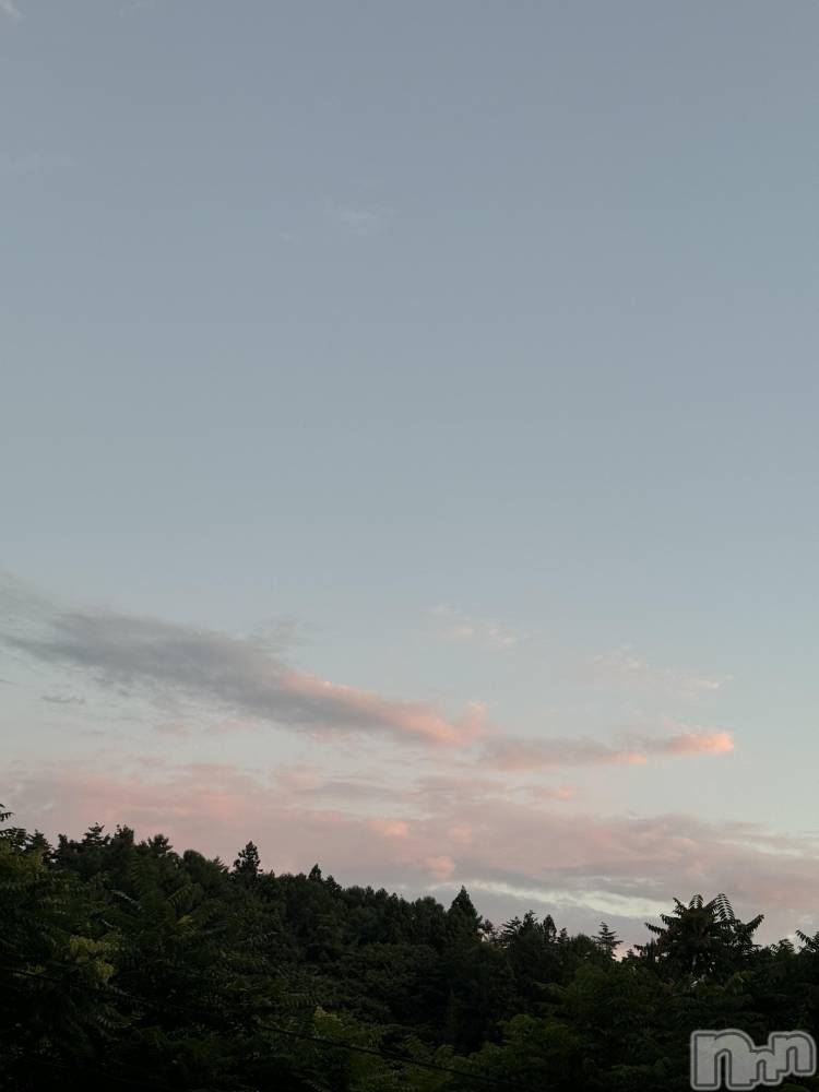 ��ˬ����Х��顦����֥���� �ץ���� ��ˬ(����� �ץ���� ����) �¼ �����7��25���̥�֥�����🤍��